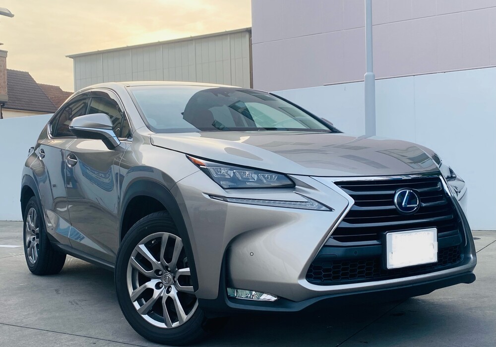 LP NX