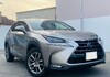 LP NX