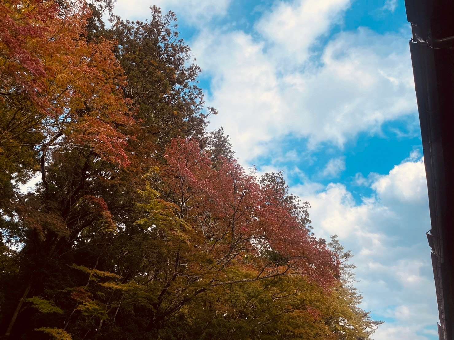 nature11